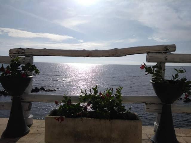 Al Chiaro Di Luna Resort Borgo Pantano Exterior photo